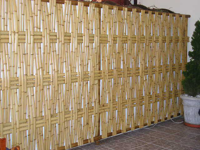 bambu tranáado marquinho2.JPG