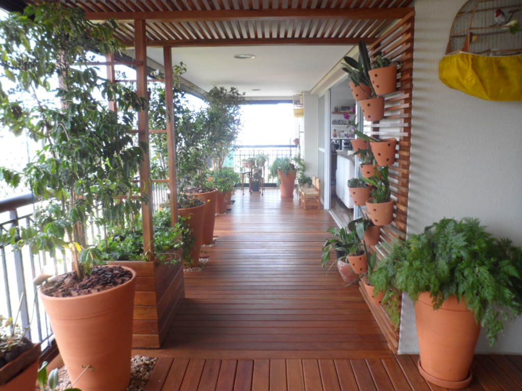 P Galbi maráo 2012 007.jpg