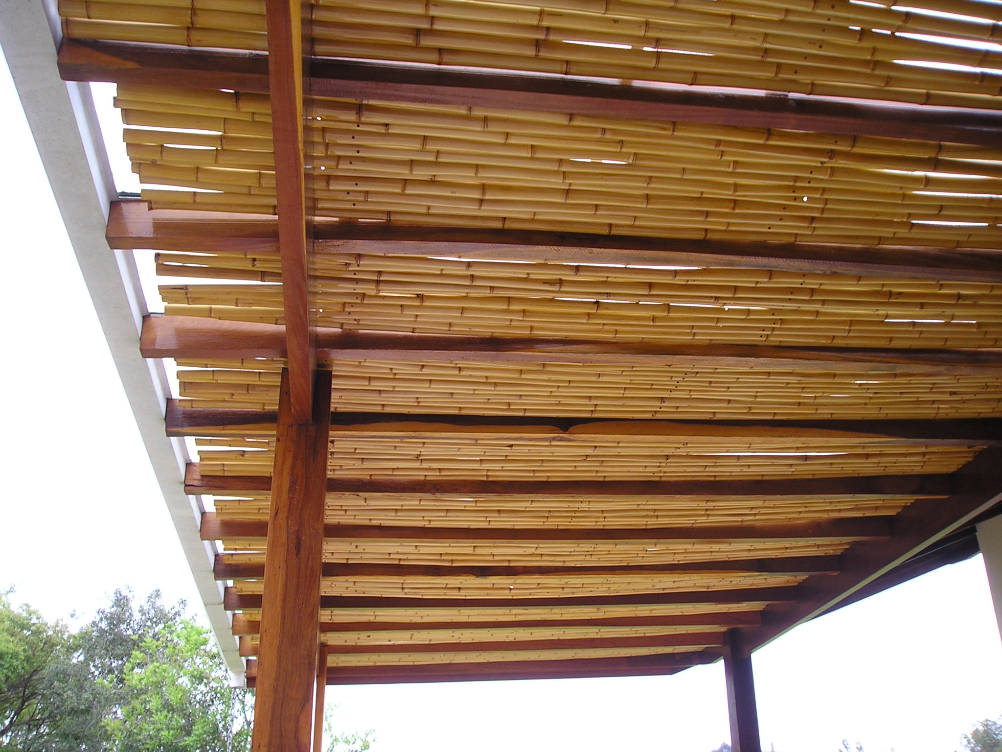 fotos marques 003.jpg