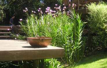 consultoria paisagismo.jpg